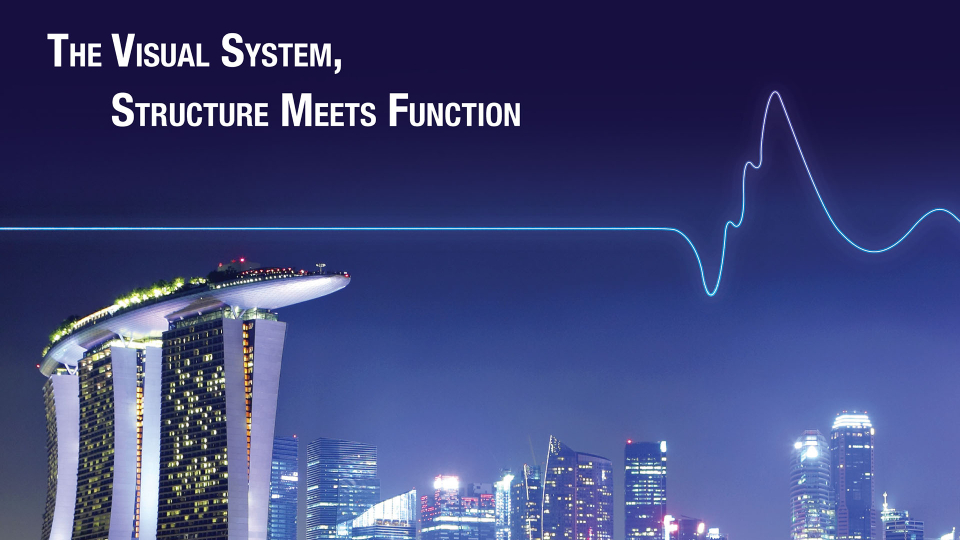 Imaging & Electrophysiology 2019